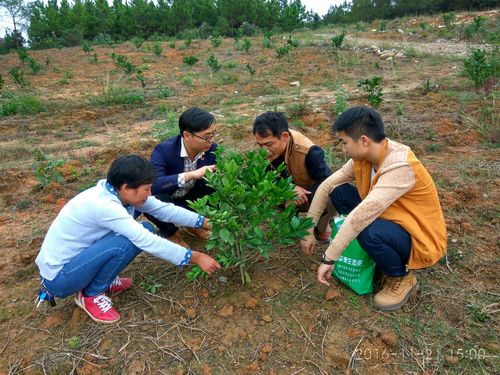 技术服务下乡，宣传推广入户——农一网道县工作站“再出发”纪实